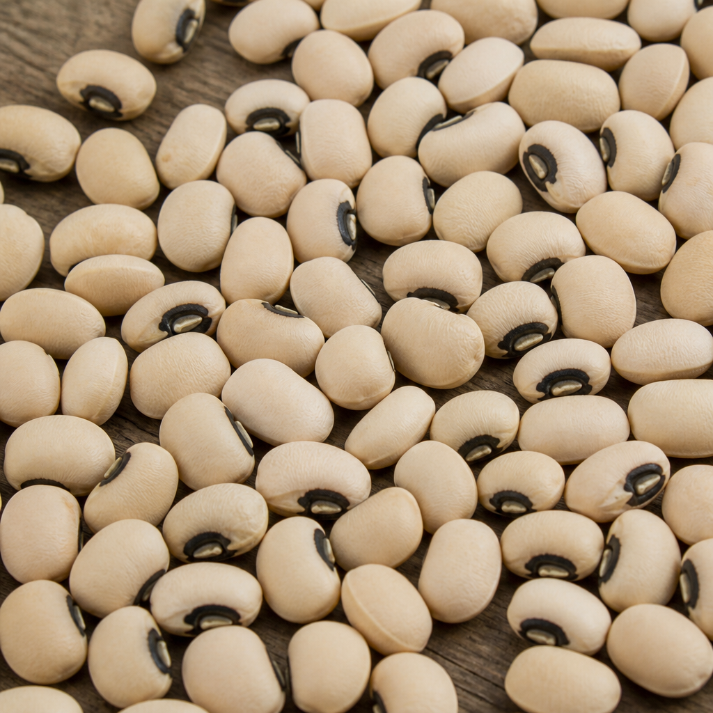 Fodder Sunflower Seed