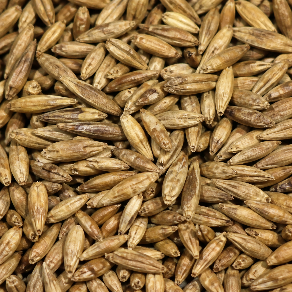 Kiwi Seed