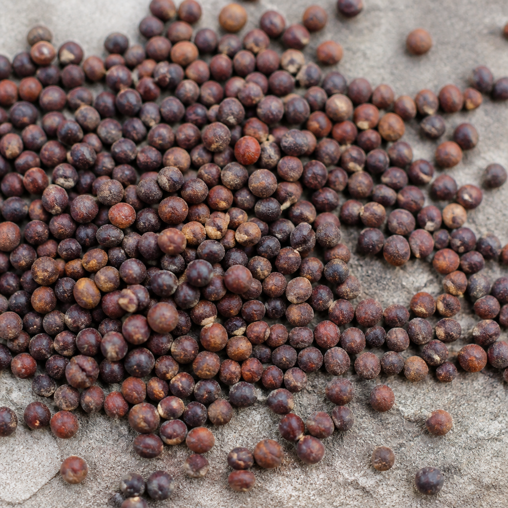 Begonia Seed