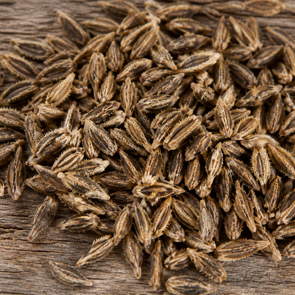 Kalmegh Seed