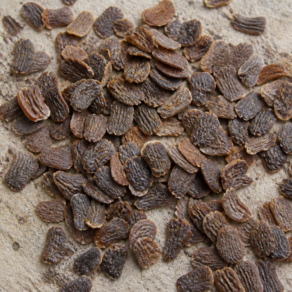 Hybrid Brinjal Seed
