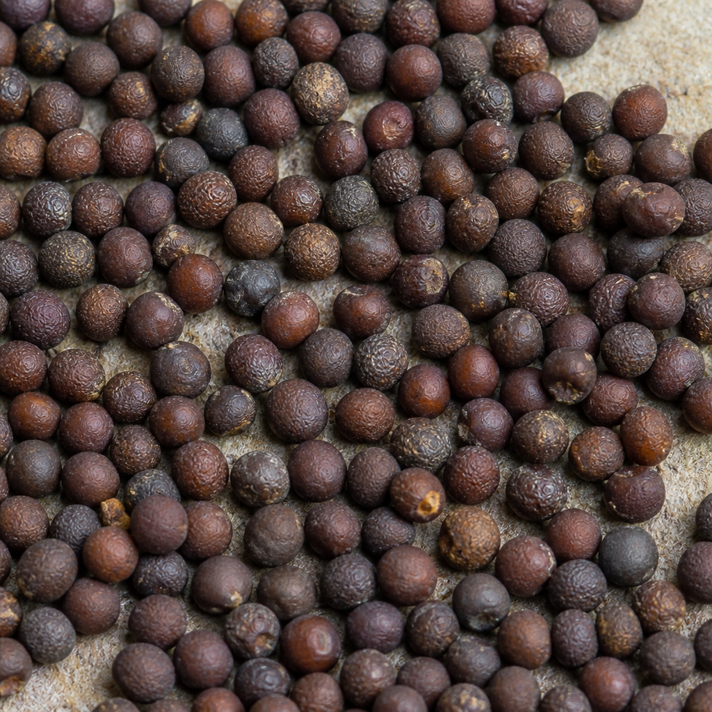 Subabul Seed