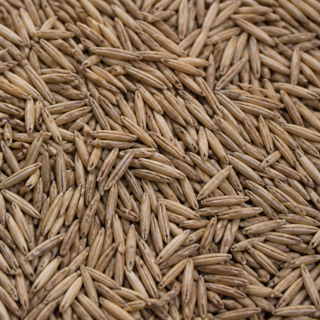 Bitter Gourd Seed