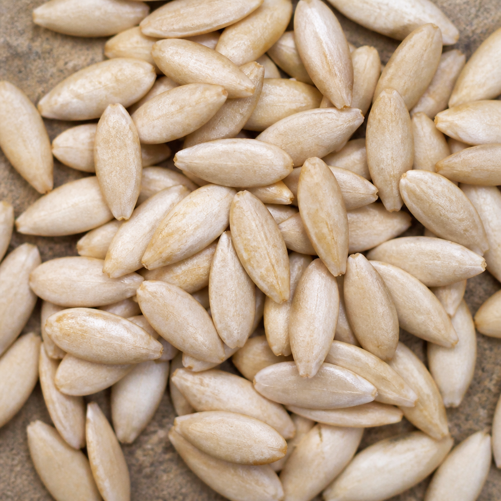 Custard Apple Seed