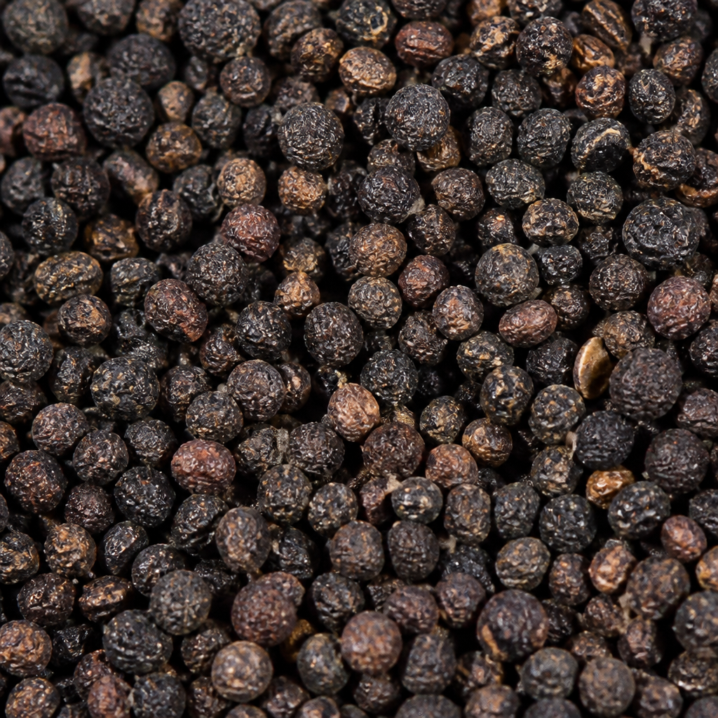Celery Seed for sowing
