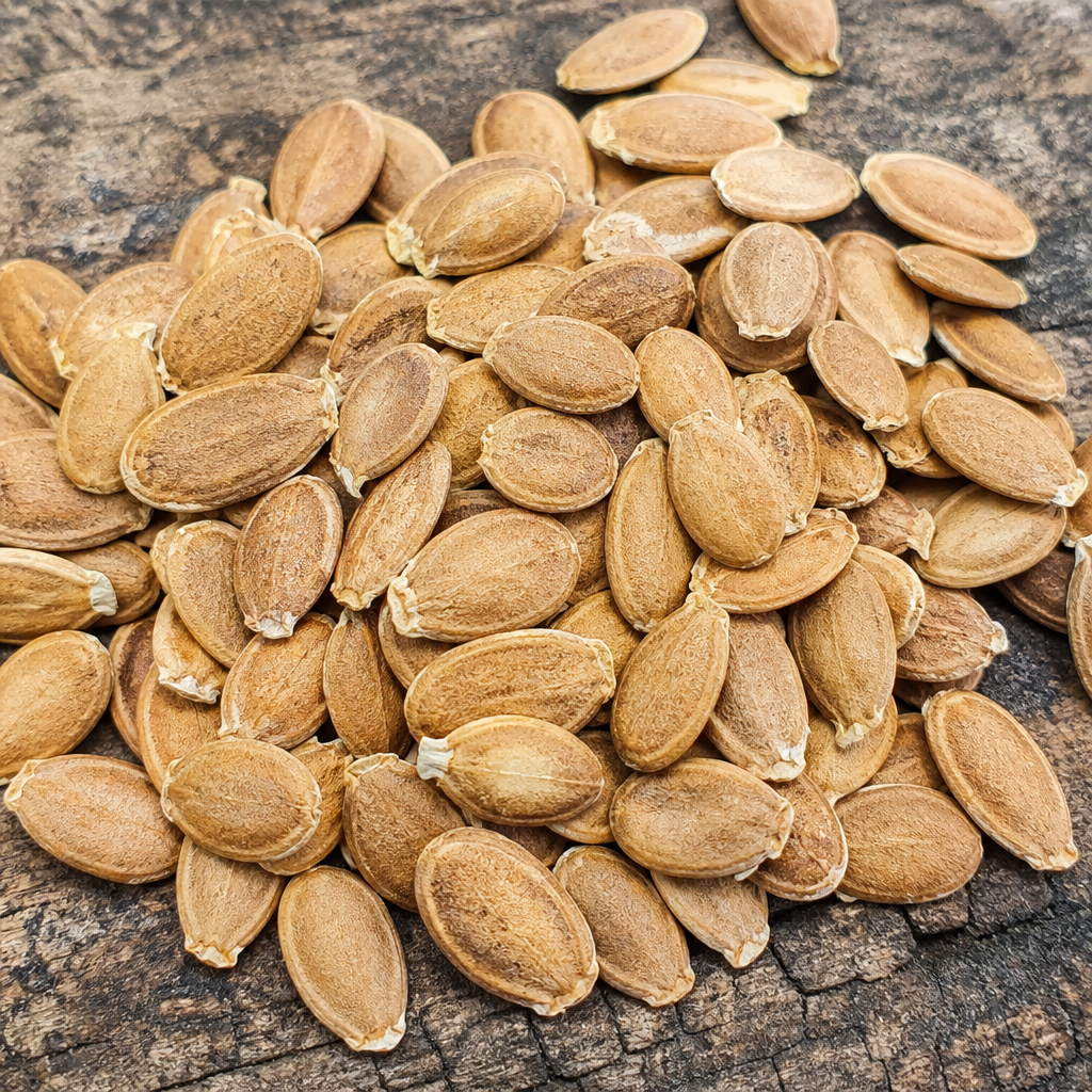 French Bean Seed