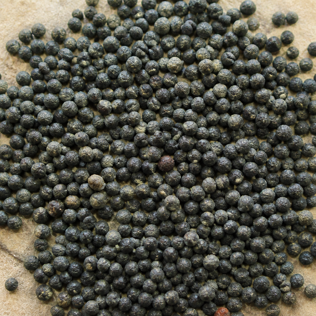 Jackfruit Seed