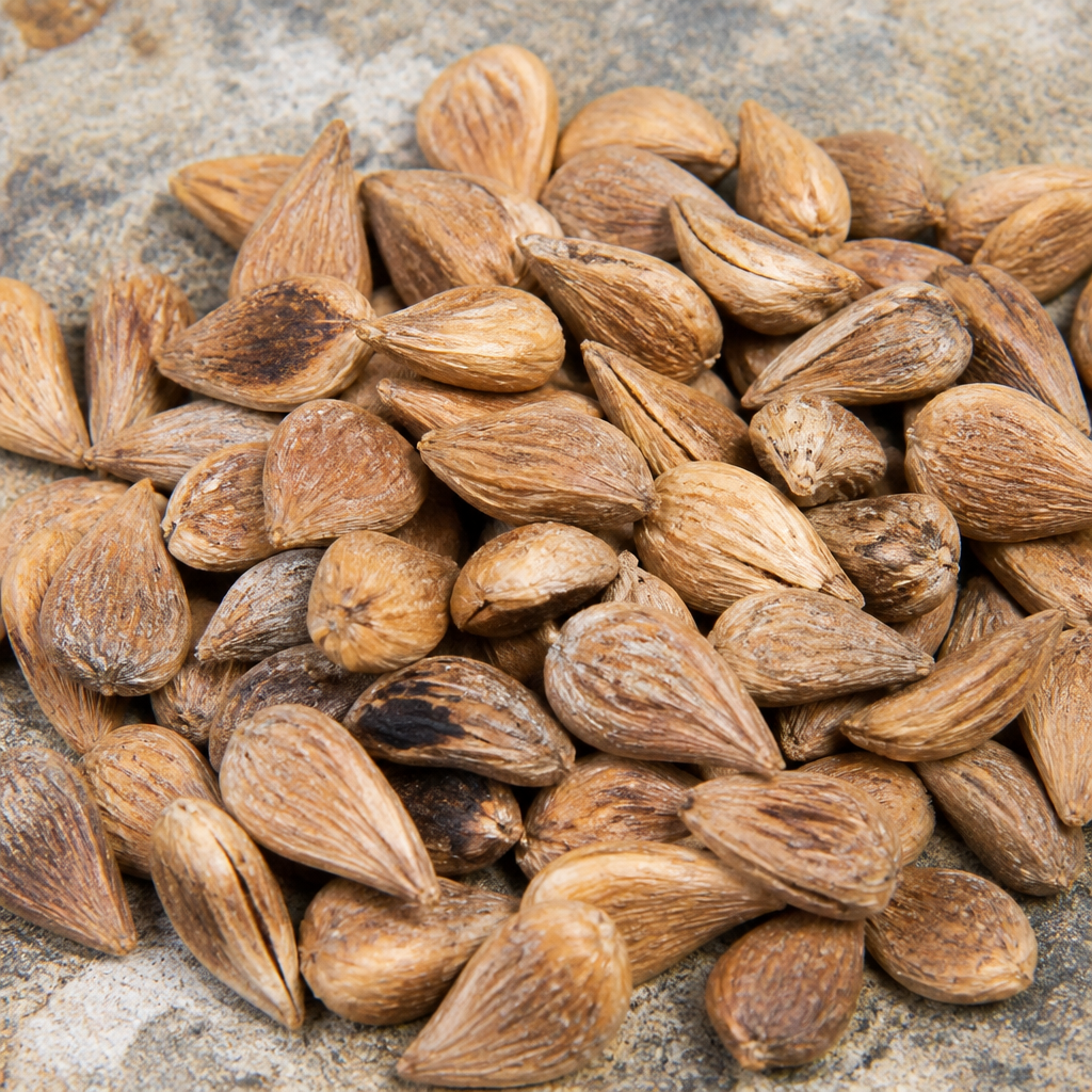 Banana Seed/Planting Material