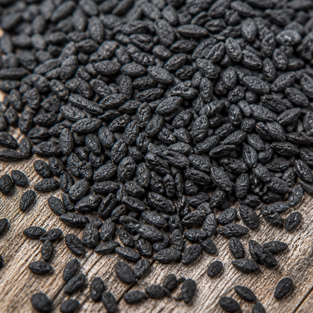 Zinnia Seed