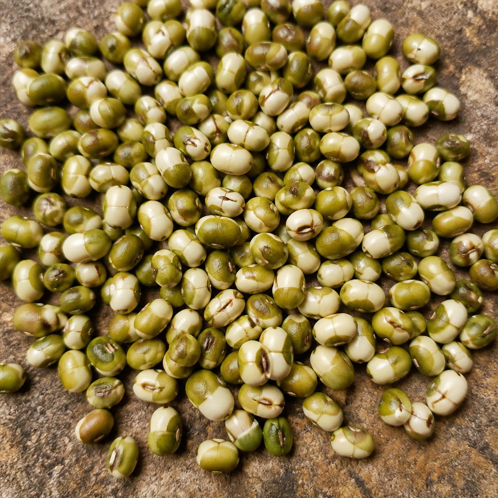 Muskmelon Seed for planting